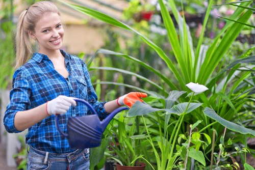 A young woman with long blonde hair, dressed in a blue checkered shirt and wearing gardening gloves, stands in a lush garden landscape. She is holding a blue watering can and appears to be watering a variety of green foliage, including tall, leafy plants and smaller shrubs. The garden features a well-maintained lawn area in the foreground, with a mix of textures from the grass and soil. In the background, there are vibrant flowering plants with purple and red blossoms, along with trees and garden borders, suggesting a well-tended outdoor space typical of residential gardens around Soho. The weather appears clear and bright, with natural sunlight illuminating the scene, emphasizing the healthy, well-watered plants. This image closely relates to gardening services offered in the Soho area, highlighting professional lawn and plant care activities in a landscaped garden environment.