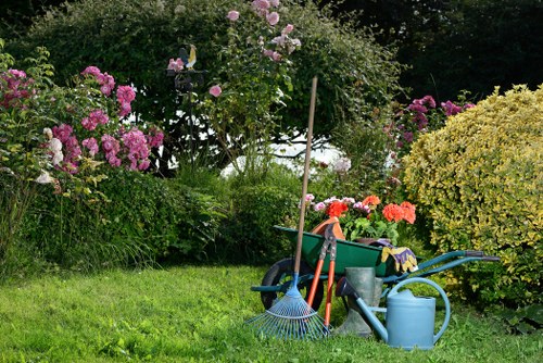 Professional hedge trimming in a London garden