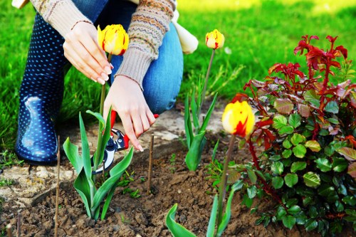 Team of expert horticulturists from Premier Gardening Services
