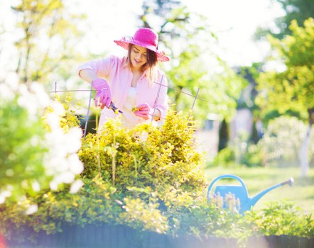 Seasonal gardening services in Soho